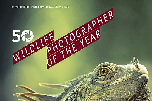 Szczecin, Muzeum Narodowe, wystawa fotografii, kierunek Szczecin, Fotografia Dzikiej Przyrody 2014, Wildlife Photographer of the Year, w Szczecinie