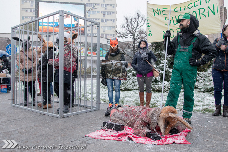 28.11.2015. Happening Ogólnopolski Dzień bez Futra w Szczecinie