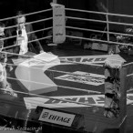 World Series of Boxing Polska vs Rosja, Szczecin 30.01.2016