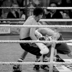 World Series of Boxing Polska vs Rosja, Szczecin 30.01.2016