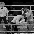 World Series of Boxing Polska vs Rosja, Szczecin 30.01.2016