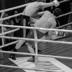 World Series of Boxing Polska vs Rosja, Szczecin 30.01.2016