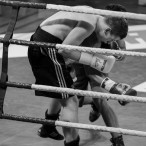 World Series of Boxing Polska vs Rosja, Szczecin 30.01.2016