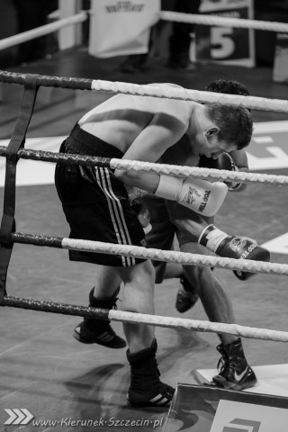 World Series of Boxing Polska vs Rosja, Szczecin 30.01.2016