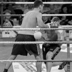 World Series of Boxing Polska vs Rosja, Szczecin 30.01.2016