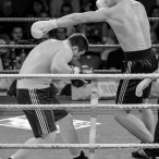 World Series of Boxing Polska vs Rosja, Szczecin 30.01.2016