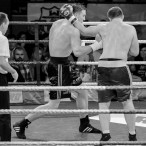 World Series of Boxing Polska vs Rosja, Szczecin 30.01.2016