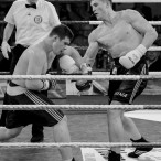 World Series of Boxing Polska vs Rosja, Szczecin 30.01.2016