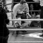 World Series of Boxing Polska vs Rosja, Szczecin 30.01.2016