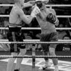 World Series of Boxing Polska vs Rosja, Szczecin 30.01.2016