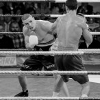 World Series of Boxing Polska vs Rosja, Szczecin 30.01.2016