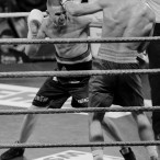 World Series of Boxing Polska vs Rosja, Szczecin 30.01.2016