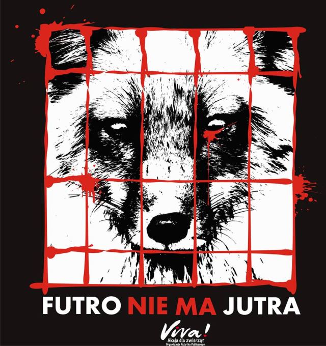 Jutro będzie fiutro - futro nie ma jutra projekcja filmu