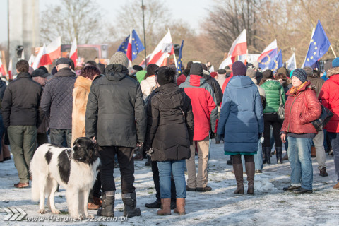 09.01.2016 Manifestacja KOD - wolne media - Szczecin