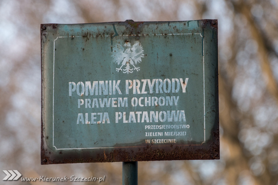 Szczecińskie szyldy, neony i inna ciekawe reklamy