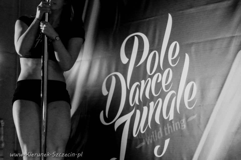 galeria fotografii Pole Dance Jungle Challenge, Szczecin 12.03.2016