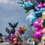 19.03.2016 Szczecin na co dzień - codzienne życie w Szczecinie na zdjęciach