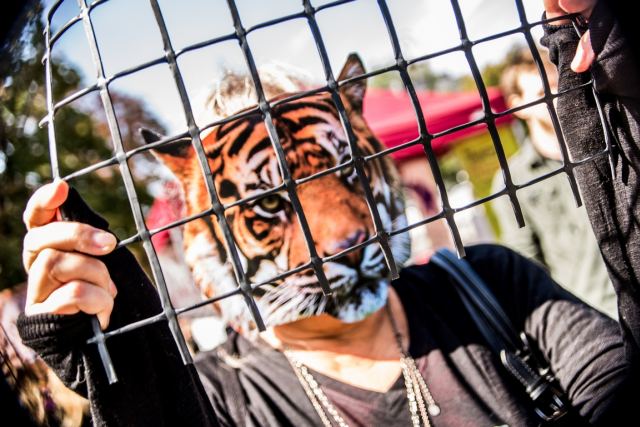 basta cyrk bez zwierząt, protest w Szczecinie