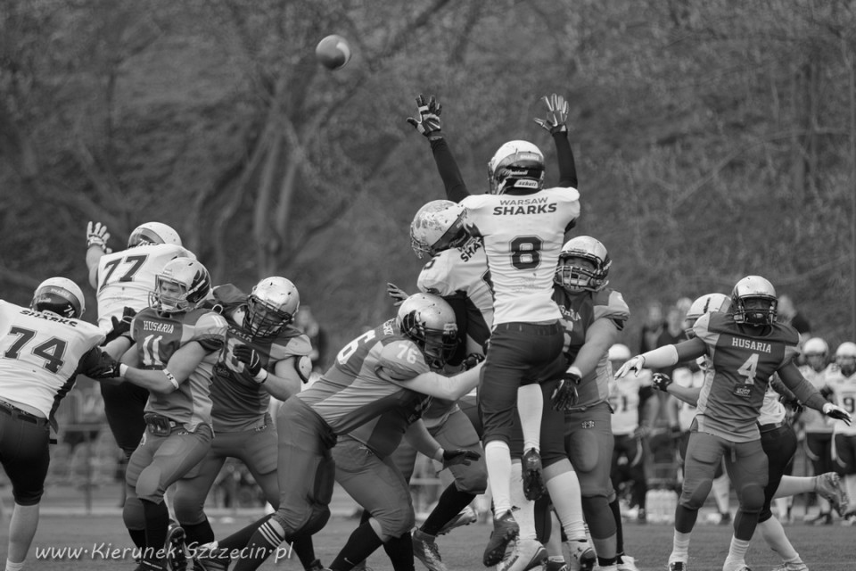 09.04.2016 Husaria Szczecin vs Warsaw Sharks fot. © www.kierunek.Szczecin.pl