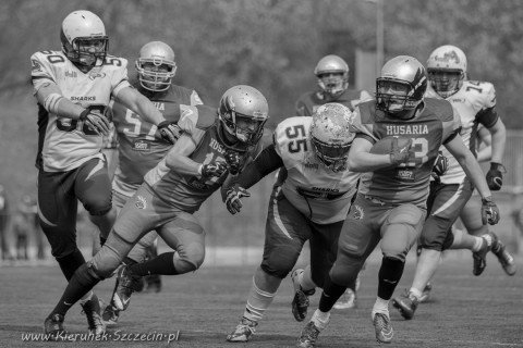 09.04.2016 Husaria Szczecin vs Warsaw Sharks fot. © www.kierunek.Szczecin.pl