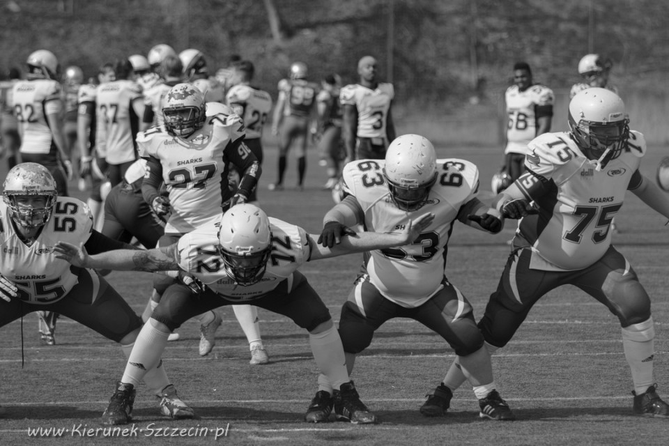 09.04.2016 Husaria Szczecin vs Warsaw Sharks fot. © www.kierunek.Szczecin.pl