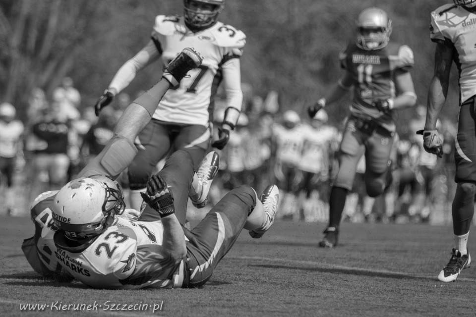 09.04.2016 Husaria Szczecin vs Warsaw Sharks fot. © www.kierunek.Szczecin.pl