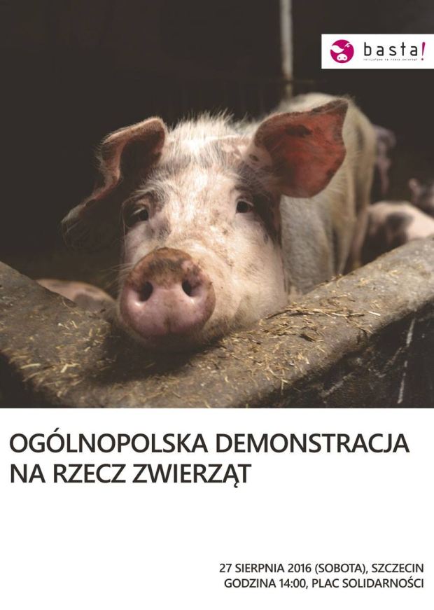 ARCHIWUM. Szczecin. Wydarzenia. 27.08.2016. Ogólnopolska demonstracja na rzecz praw zwierząt @ Plac Solidarności
