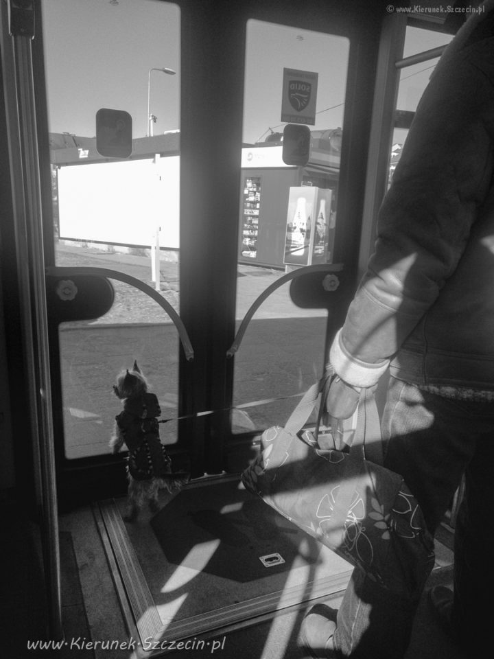 Fotografia. Szczecin na co dzień 19.03.2018