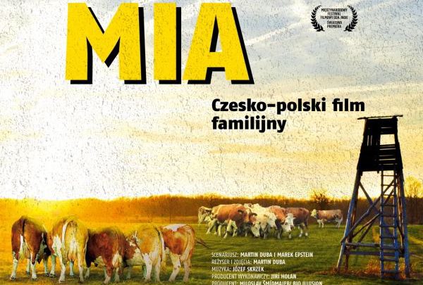 ARCHIWUM. Szczecin. Kino. Wydarzenia. 09.07.2019. Zamkowe Noce Filmowe – Bella Mia @ Zamek Książąt Pomorskich
