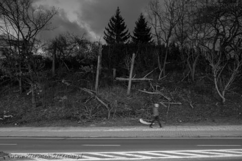 Fotografia. Szczecin na co dzień 08.03.2019