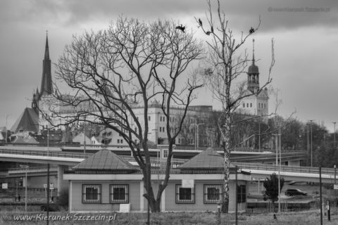 Fotografia. Szczecin na co dzień 26.12.2019