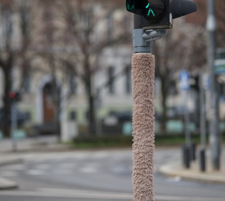 Fotografia. Szczecin na co dzień 28.12.2019