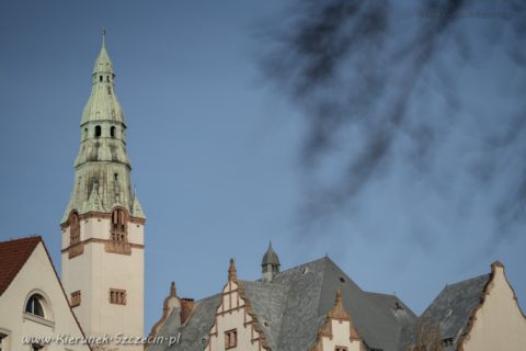 Fotografia. Szczecin na co dzień 20.02.2020