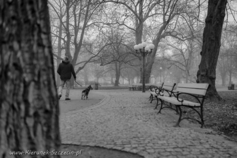 Fotografia. Szczecin na co dzień 02.03.2021. Park generała Władysława Andersa w Szczecinie