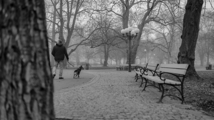 Fotografia. Szczecin na co dzień 02.03.2021. Park generała Władysława Andersa w Szczecinie