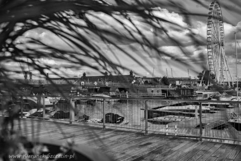 Fotografia. Szczecin na co dzień 04.08.2021. Szczecin Wheel