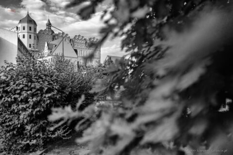 Fotografia. Szczecin na co dzień. 18.06.2023. Zamek Książąt Pomorskich w Szczecinie