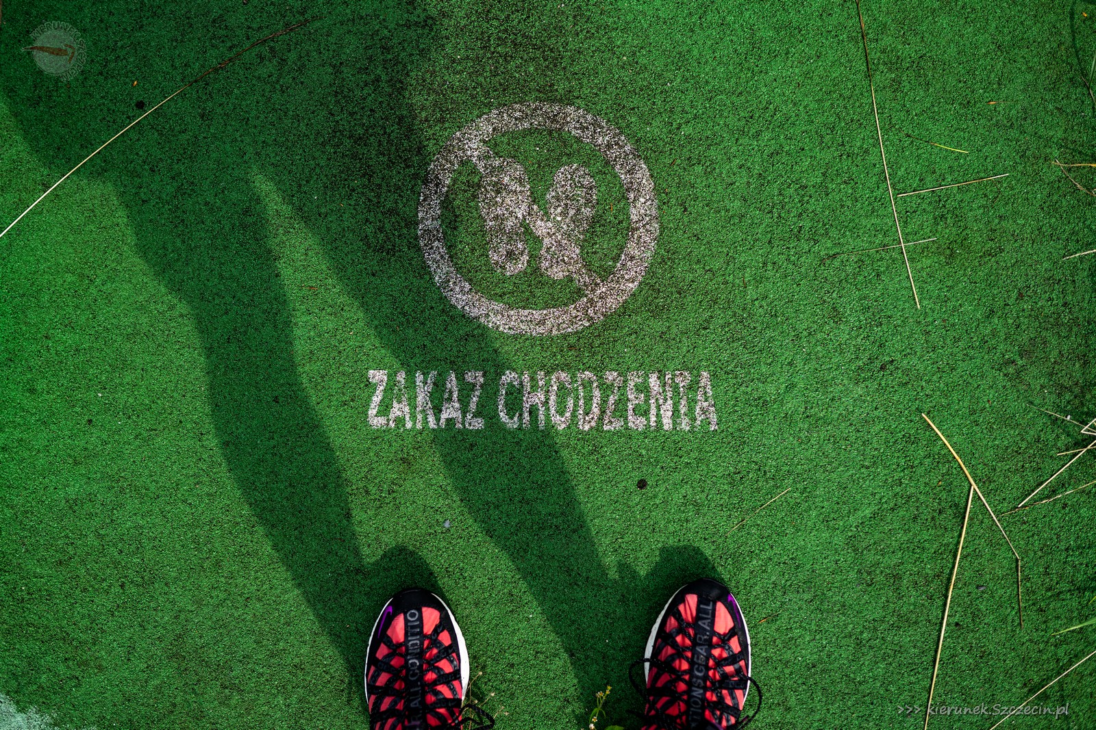 31.08.2023. Zakaz chodzenia w Szczecinie