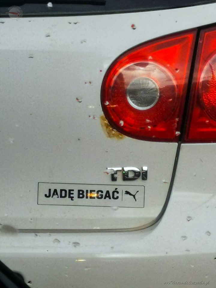 Naklejka „Jadę biegać” pod oznaczeniem TDI na tylnej klapie samochodu w Szczecinie
