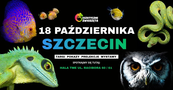 Szczecin. 18.10.2026. Egzotyczne Zwierzęta – targi terrarystyki, akwarystyki i botaniki