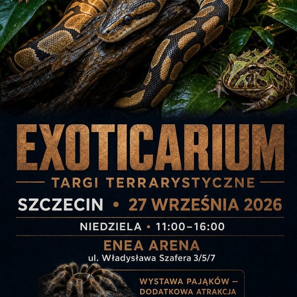 Szczecin. 27.09.2026. Exoticarium - Targi Terrarystyczne i wystawa pająków