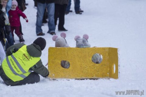 Szczecin :: Crazy Slide 2013 :: 27