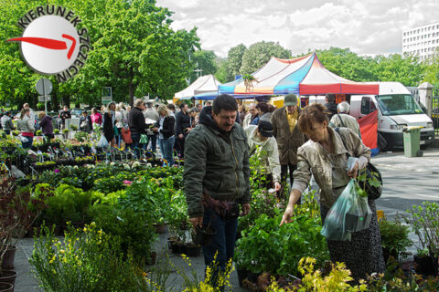 Piknik nad Odrą & Pamiętajcie o Ogrodach 2012 01