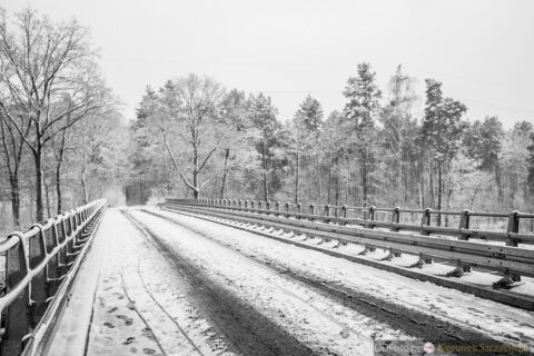 Szczecin - styczeń 2015 fot. 78