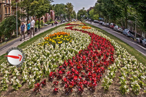 Szczecin na co dzień :: 2012-07-05