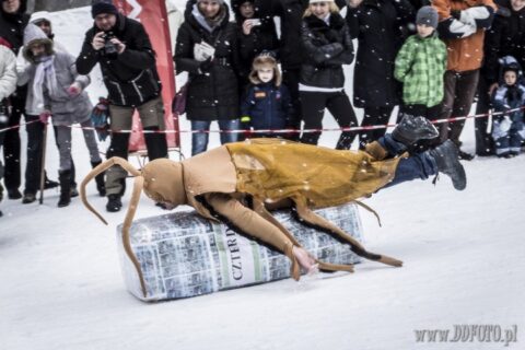 Szczecin :: Crazy Slide 2013 :: 43
