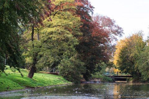 2014_10_Szczecin36