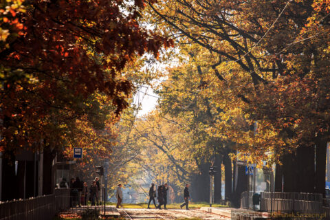 2014_10_Szczecin86