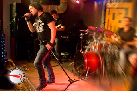 2012-03-15-hormon-17