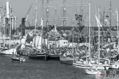 The Tall Ship Races 2013 61